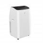 Кондиционер мобильный ROYAL Clima RM-LP50CN-E