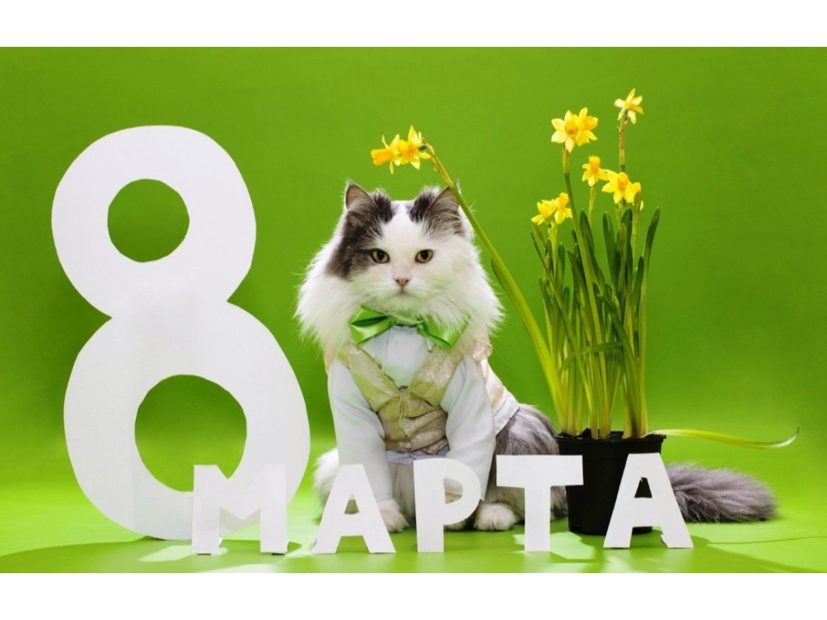 Поздравляем всех женщин с 8 марта! Наш график работы с праздники